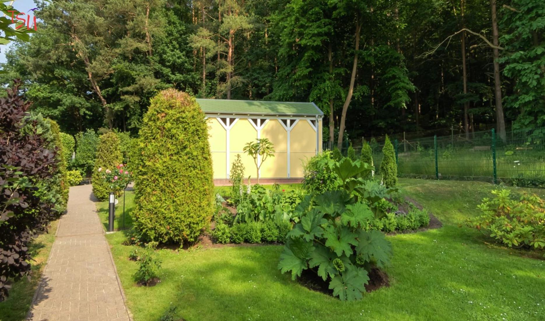 Appartement Haus Am Wald à Heringsdorf  Extérieur photo